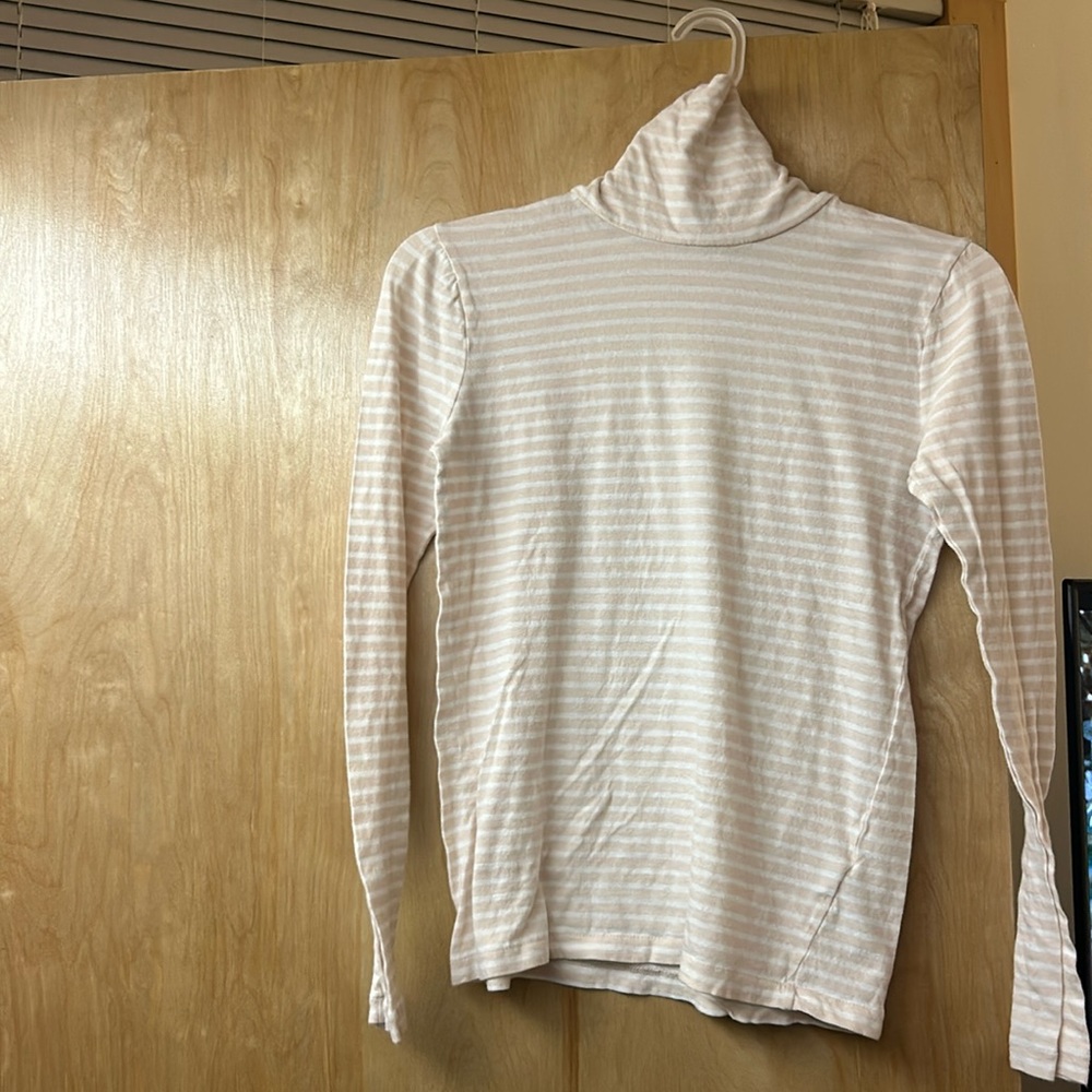 JCREW Mercentile striped turtle neck